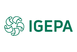 Igepa Group